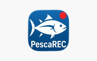 PescaREC: La App Obligatoria para Pescar en el Mar desde 2026 (Guía Completa)