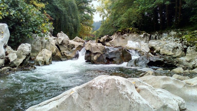 Pesca en el Río Pas (Cantabria): El Mejor Río Truchero de Cantabria