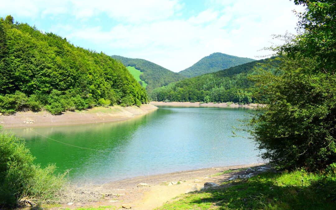 Pesca en el Río Irati (Navarra): El Mejor Río Truchero del Pirineo