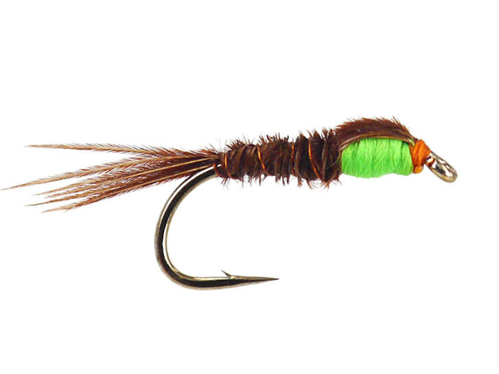 Pack ninfas mosca trucha Pheasant Tail